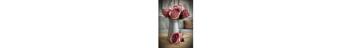 Single Cut Blush Vintage Rose