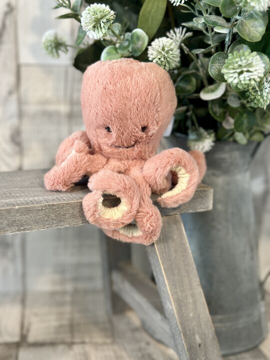 Baby Odell Octopus