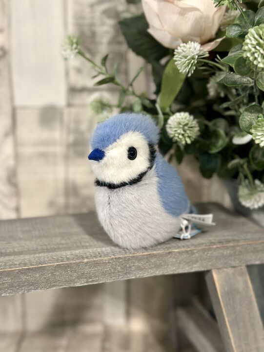 Birdling Blue Jay