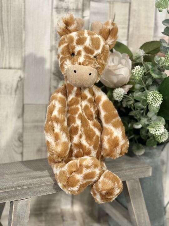 Medium Bashful Giraffe